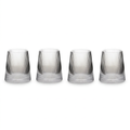 Hazelfield Set of 4 Ribbed Clear Glass Tumblers